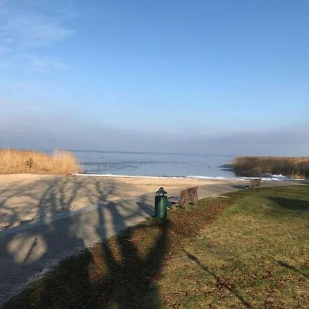 Ferien-Bungalow Im Seebad Ueckermuendeot Bellin 外观 照片